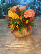 Composizione in zucca per Halloween