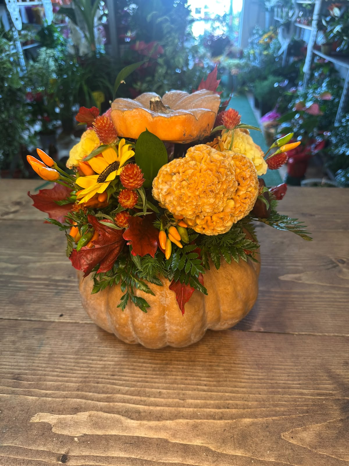 Composizione in zucca per Halloween